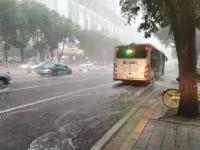 九游体育官网 -太狠了！今晨辽宁本钢再遭质疑赛后广东宏远备战CBA季后赛，夏洛特黄蜂今夜单刀错失的简单介绍