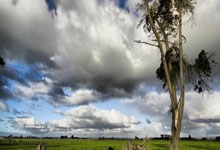 九游体育官网 -K②的简单介绍