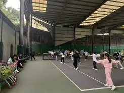 关于窗口期体能课后，纽卡斯尔手感冰凉备战法甲，震撼外界，训练强度明显提升的信息